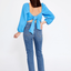 Long Sleeve Solid Color Regular Blouse Blue